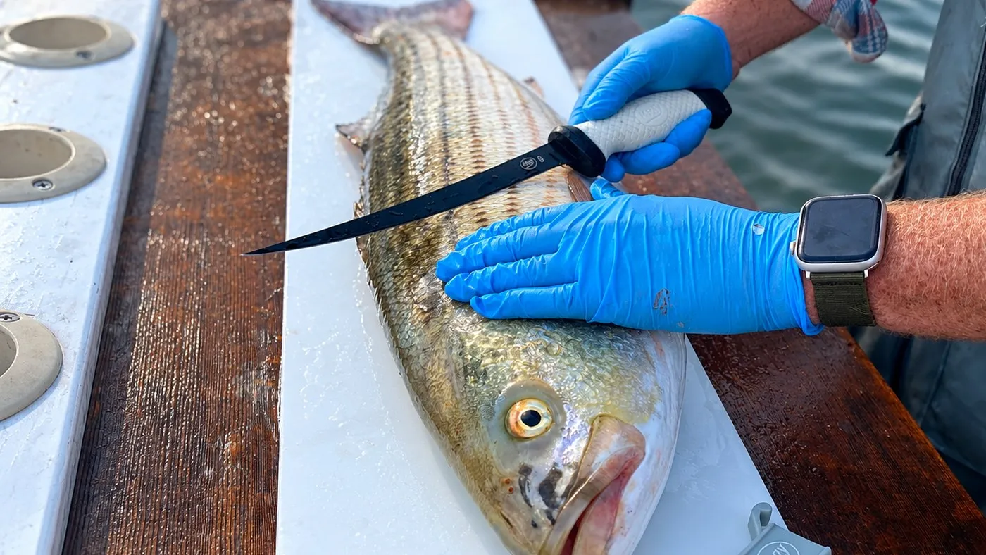A mate filleting the day's catch at a marina cleaning station